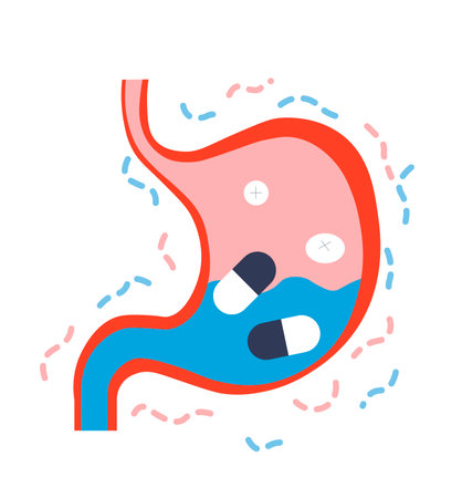 Medical capsules inside human stomachのイラスト素材