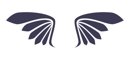 Simple Vector Wings Design isolatedのイラスト素材