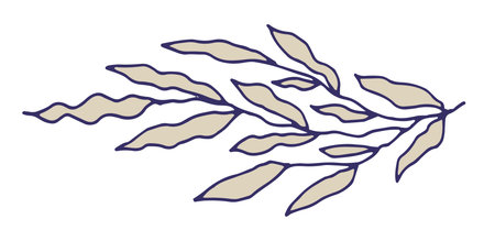 Minimal Long Wavy Botanical Branchのイラスト素材