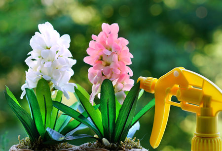 Flowersの写真素材