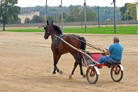 Horse and Buggyの写真素材