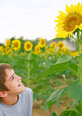 Boy Observing a Flowerの写真素材