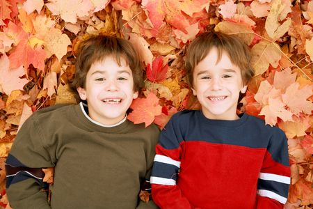 Autumn Faces