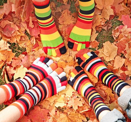 Fall Feetの写真素材
