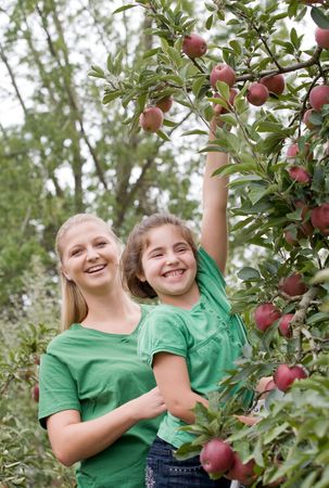 Little Girl and Mom Picking Apples
