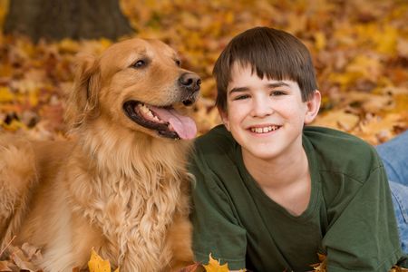 Teenager with Golden Retrieverの写真素材