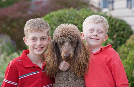 Brothers With Their Standard Poodleの写真素材