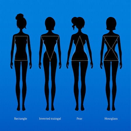 Female body types. Vector illustration.のイラスト素材