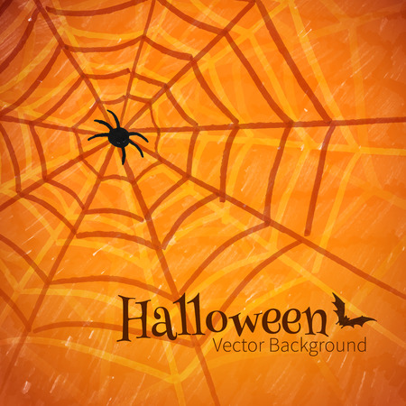Felt pen drawing of spider web. Vector illustration.のイラスト素材