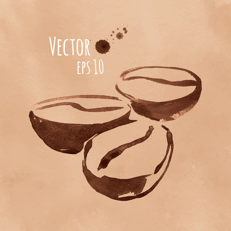 Vector watercolor sketch of coffee beans.のイラスト素材