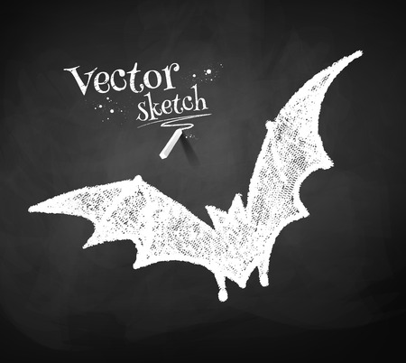 Grunge chalkboard drawing of bat.のイラスト素材