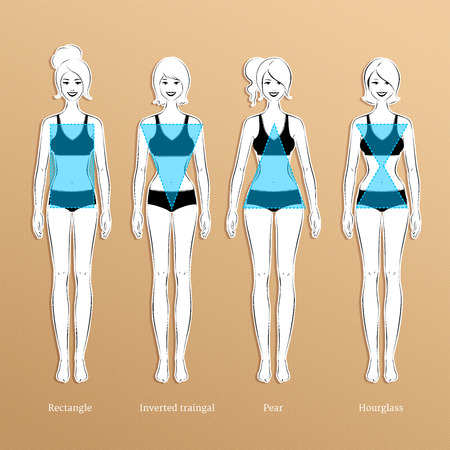 Vector illustration of female body types.のイラスト素材