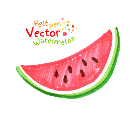 Vector felt pen child drawing of watermelon.のイラスト素材