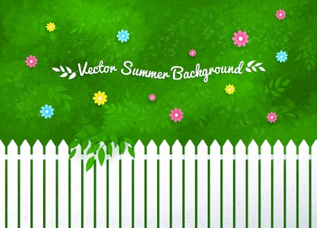 Vector illustration of blooming shrubs and garden white fence.のイラスト素材