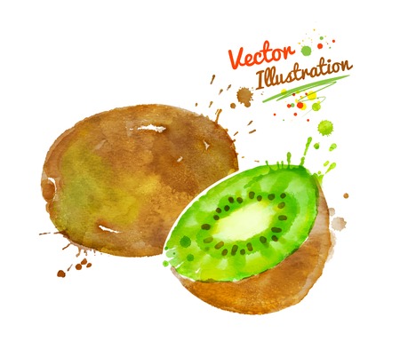 Vector watercolor hand drawn illustration of kiwi.のイラスト素材
