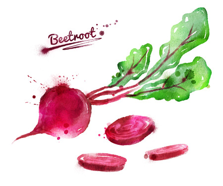 Watercolor hand drawn illustration of beetroot with paint splashes.の写真素材