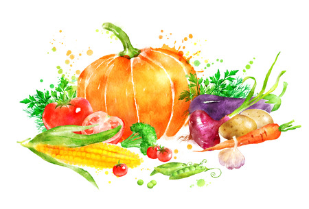 Hand drawn watercolor illustration of still slife with vegetables with pumpkin and corn.の写真素材