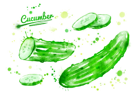 Watercolor hand drawn illustration of cucumbers with paint splashes. Whole, half and slices.の写真素材