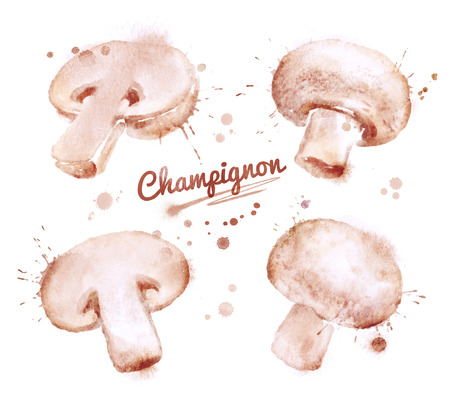 Hand drawn watercolor illustration of champignons with paint splashes.の写真素材