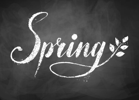 Spring word grunge  chalked lettering on black chalkboard background  with tree branch and leaves.のイラスト素材