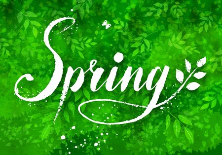 Spring word grunge  lettering on green watercolor background with leaves and tree branches.のイラスト素材