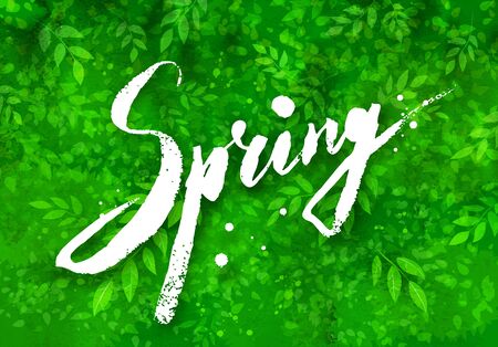 Spring word grunge lettering on green watercolor background with leaves and tree branches.のイラスト素材