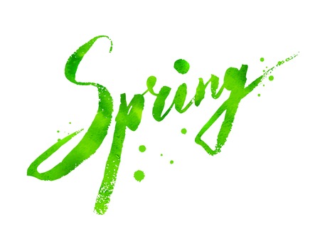 Spring word grunge watercolor  lettering on white background with paint splashes.のイラスト素材