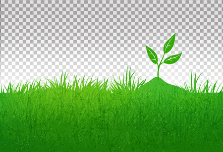 Summer illustration with green grass and growing sproutのイラスト素材