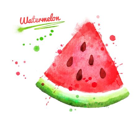 Watercolor illustration of watermelonの写真素材