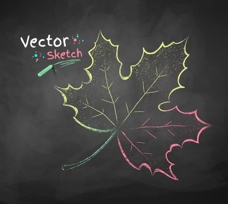 Vector chalkboard drawing of autumn leafのイラスト素材