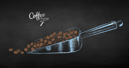 Vector chalk drawn sketch of metal coffee scoop with pile of beans on chalkboard background.のイラスト素材