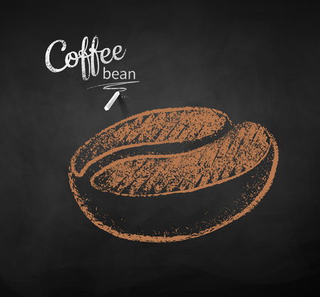 Vector chalk drawn sketch of one coffee bean on chalkboard background.のイラスト素材