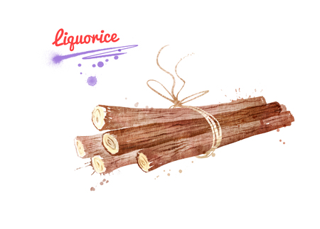 Watercolor illustration of bunch of Liquorice sticksの写真素材