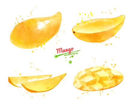 Watercolor set of illustrations of yellow Mango fruit, whole and sliced with paint smudges and splashes.の写真素材