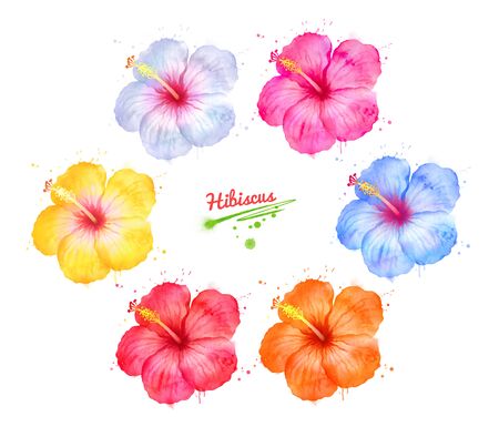 Watercolor hand drawn illustration set of colorful Hibiscus flowers with paint splashes.の写真素材
