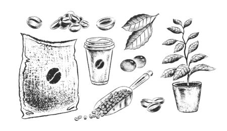 Vector hand drawn black and white illustration collection of coffee sack and beans isolated on white background.のイラスト素材