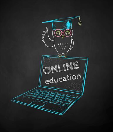 Owl in mortarboard sitting on laptopのイラスト素材