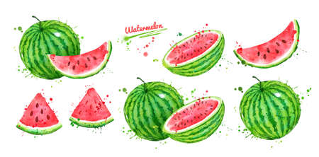 Watercolor illustration set of Watermelonの写真素材