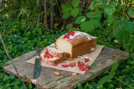 Fruit cake with red currant on a wooden board in the gardenの写真素材