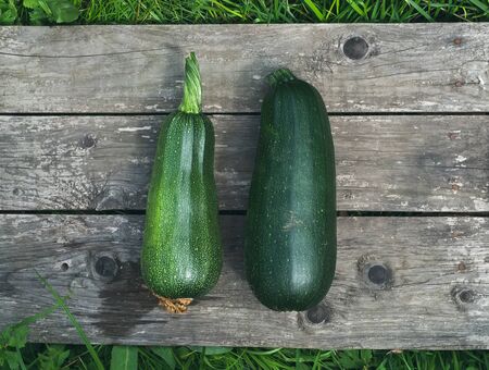 Green marrows on a wooden surface in the garden