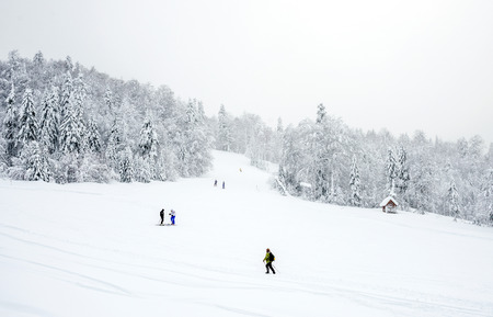 KOLASIN, MONTENEGRO - FEBRUARY 1: Ski slopes in the coniferous forest in 'Kolasin 1450' mountain ski resort with unknown people skiing and hiking after a heavy snowfall, Kolasin, Montenegro, February 1のeditorial素材