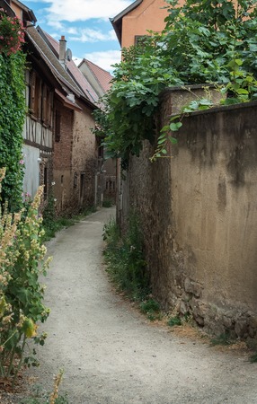Street with half-timbered medieval houses in Eguisheim village along the famous wine route in Alsace, Franceの写真素材