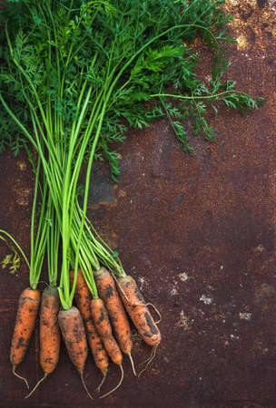 Bunch of fresh garden carrots over grunge rusty metal backdrop, top view, copy spaceの写真素材