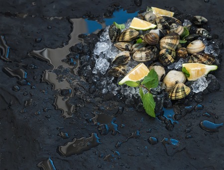 Fresh uncooked clams with lemon, herbs and spices on chipped ice over dark slate stone backdrop, top view, copy space copy space space copy space spaceの写真素材