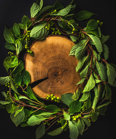 Background with Schisandra chinensis wreath around wooden board on dark, top view, copy spaceの写真素材