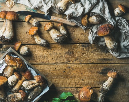 Freshly picked uncooked white forest mushrooms, green leaves and knife on rustic wooden background, top view, copy space, horizontal compositionの写真素材