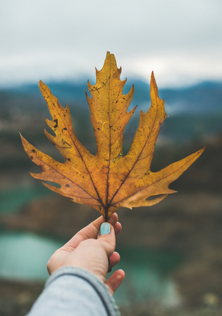 Woman s hand holding yellow grape leaf with lake and mountains at backgroundの写真素材