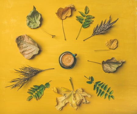 Fall coffee concept. Flat-lay of espresso cup surrounded by dried yellow and green tree leaves over mustard yellow painted wooden background, top viewの写真素材