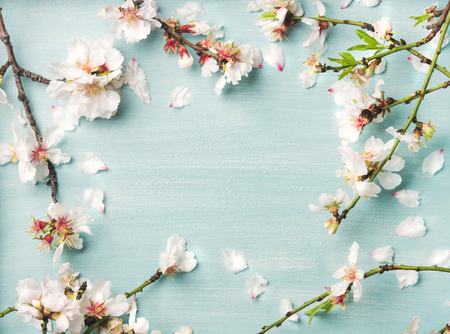 Spring floral background, texture and wallpaper. Flat-lay of white almond blossom flowers over light blue background, top view, copy space. Womens day holiday greeting card or wedding invitationの写真素材