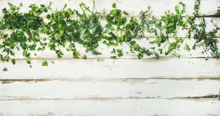 Flat-lay of various fresh green herbs. Parsley, mint, dill, cilantro, rosemary, thyme over rustic white wooden background, top view, copy space. Healthy vegan cooking conceptの写真素材
